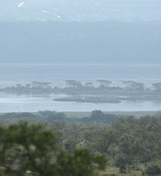 WRC 2024 after party